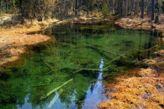 Metsät ja suot seurakuntien luontohaasteena 2011