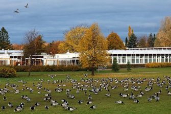 Islaminuskoiset oppilaat eivät este seurakuntien ja koulujen yhteistyölle