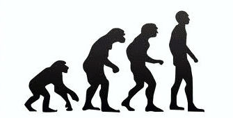 Kolmannes suomalaisista epäilee yhä evoluutioteoriaa