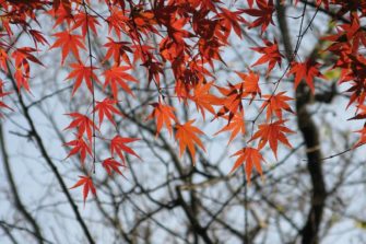 Muuan jouluaatto – Japaninlähetin muistelmia