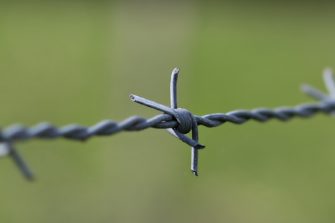 Asiakasmäärä Ihmiskaupan uhrien auttamisjärjestelmässä nousi lähes tuhanteen