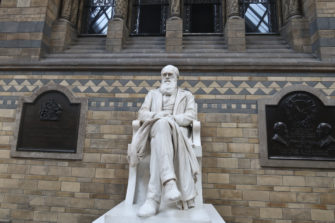 Yalen yliopiston professori torjuu Darwinin evoluutioteorian