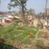 Korona on saavuttanut Biharin kylät.