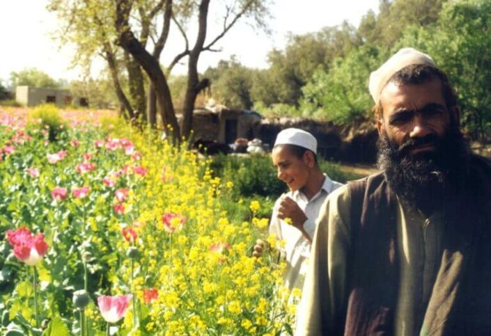 Afganistanilaiset miehet, nuori ja vanha, ooppiumipellon laidalla.