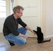 musta kissa antaa tassua miehelle