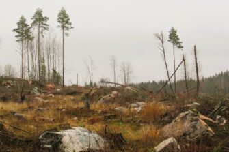 Ahdistaako ilmastonmuutos?