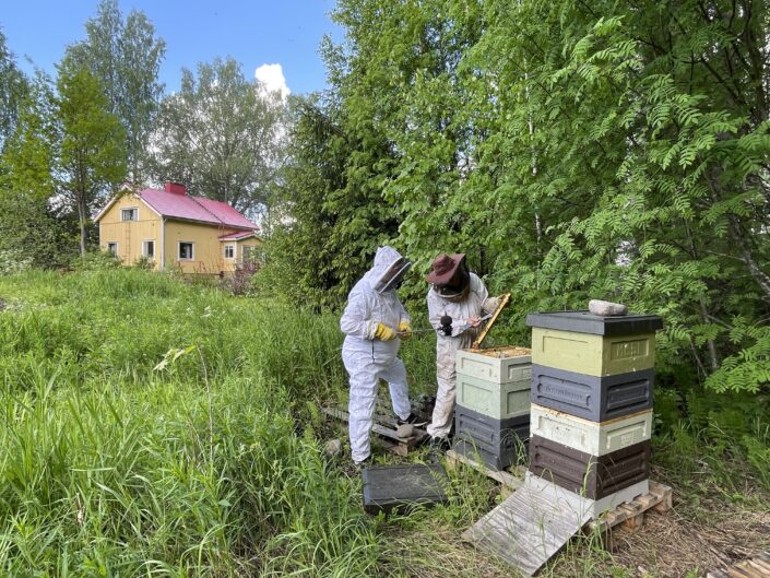 Mikael Juntunen haastattelee mehiläistarhuria suojavaatteet päällä.