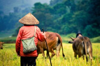 Kun hyvä täyttää tyhjyyden – Raamattu on Kiinan kristityille aarre
