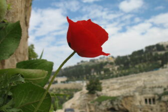 L’Chaim – Elämälle, Israel!