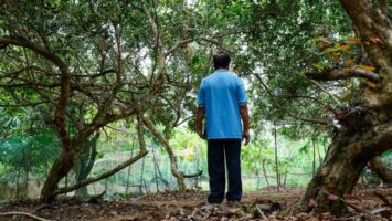 Mies seisoo puiden katveessa selin kameraan.