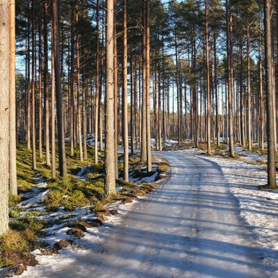 8 ideaa – Miten uuden vuoden voisi aloittaa niin, että elämä ei vain pyöri eteenpäin?