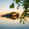 Auringonlasku kajastaa horisontissa. Rauhallinen järvimaisema, etuallalla koivunoksia.